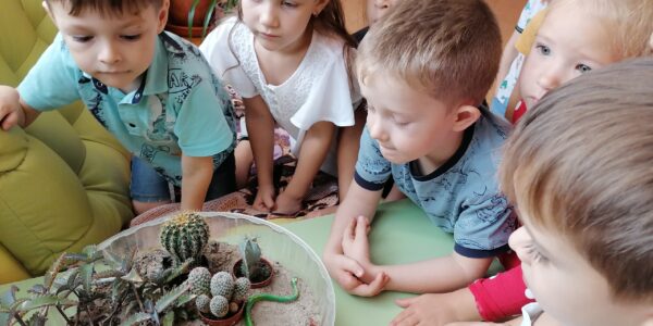 27 октября все группы детского сада отправились в путешествие по экологической тропе, которая находится внутри детского сада